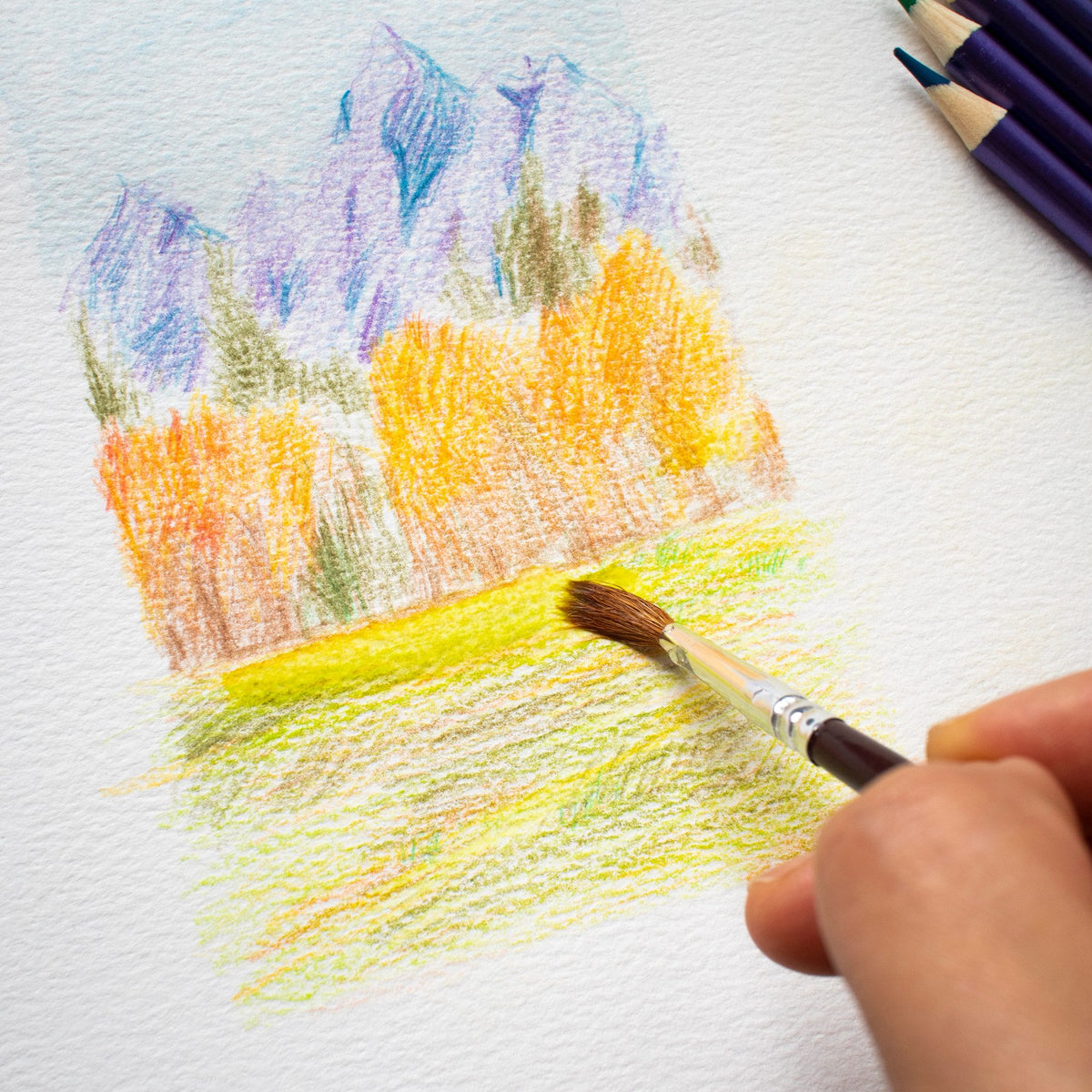 Mont Marte Premium Aquarellstifte – 36 Farben mit Pinsel im Metall-Etui - SETL