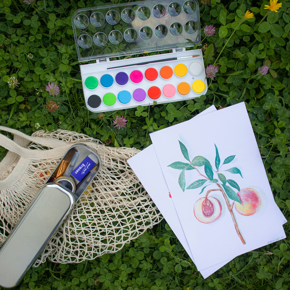 Mont Marte Discovery Aquarell Set – 16 / 36 Farben inkl. Nylonpinsel - SETL